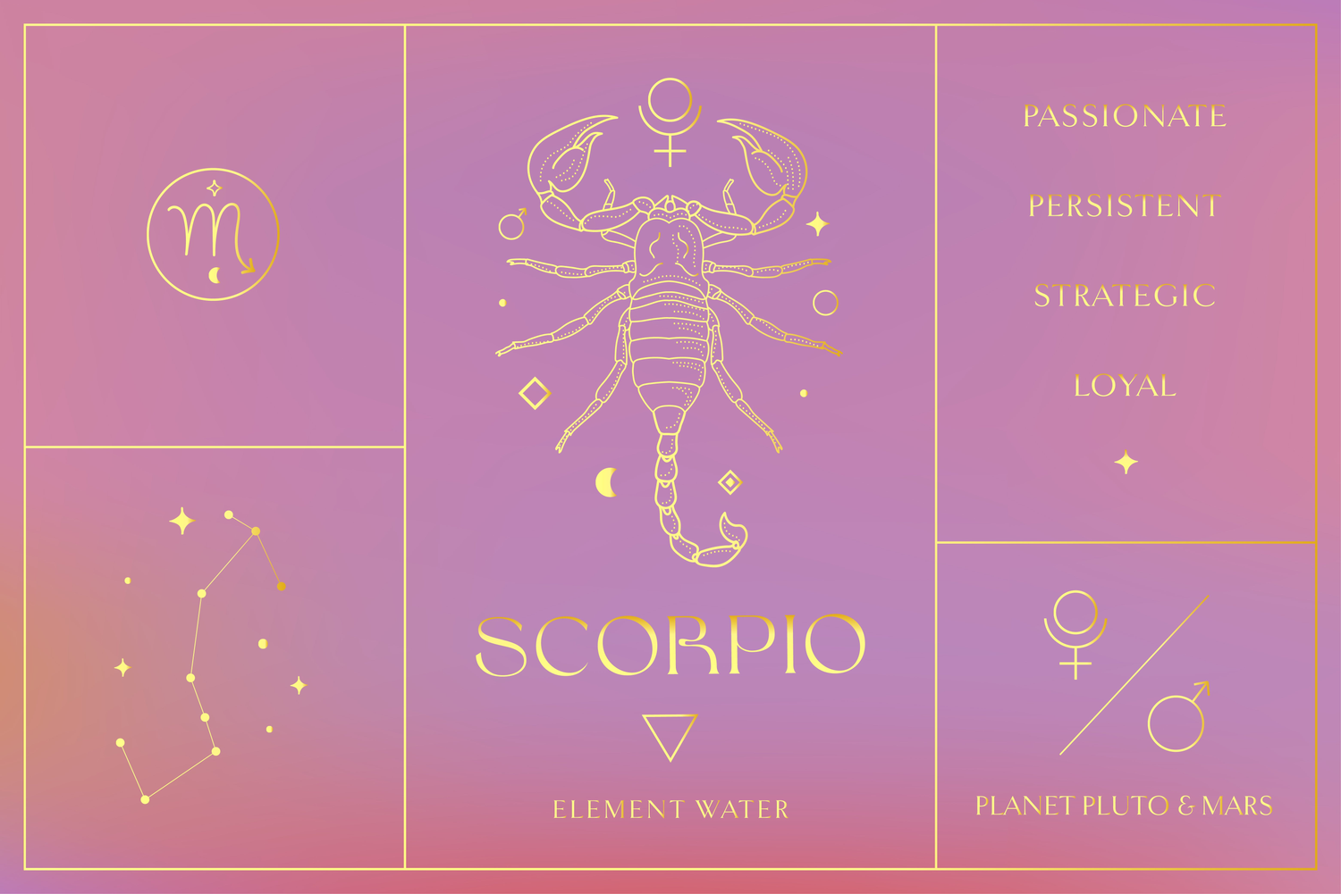 Scorpio - Own Your Shadows. Rewrite Your Story.